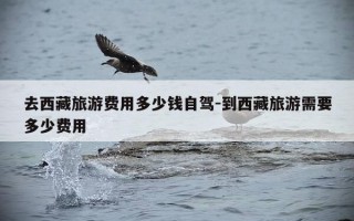 去西藏旅游费用多少钱自驾-到西藏旅游需要多少费用