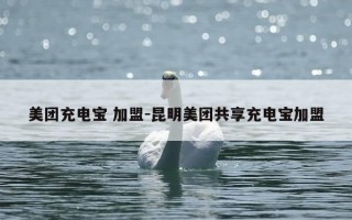 美团充电宝 加盟-昆明美团共享充电宝加盟