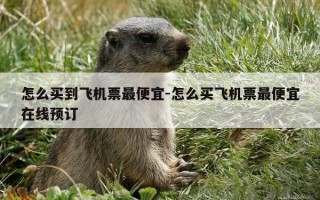 怎么买到飞机票最便宜-怎么买飞机票最便宜在线预订