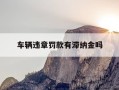 车辆违章罚款有滞纳金吗-车辆违章罚款有滞纳金吗怎么算