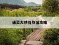 通灵大峡谷旅游攻略-通灵大峡谷旅游攻略,一天怎么玩?需要注意什么?