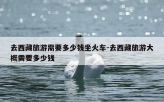 去西藏旅游需要多少钱坐火车-去西藏旅游大概需要多少钱