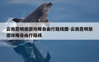云南昆明旅游攻略自由行路线图-云南昆明旅游攻略自由行路线