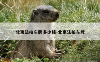 北京法拍车牌多少钱-北京法拍车牌