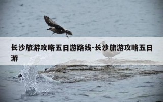 长沙旅游攻略五日游路线-长沙旅游攻略五日游