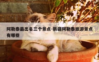阿勒泰最出名三个景点-新疆阿勒泰旅游景点有哪些