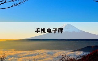 手机电子秤-手机电子秤app软件