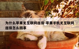 为什么苹果无互联网连接-苹果手机无互联网连接怎么回事