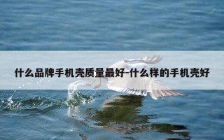 什么品牌手机壳质量最好-什么样的手机壳好