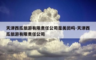 天津西瓜旅游有限责任公司是美团吗-天津西瓜旅游有限责任公司