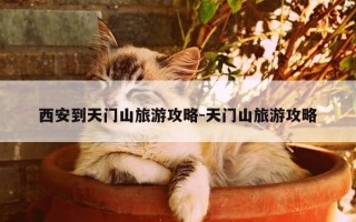 西安到天门山旅游攻略-天门山旅游攻略
