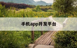 手机app开发平台-手机app开发平台排名