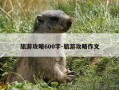 旅游攻略600字-旅游攻略作文