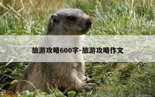 旅游攻略600字-旅游攻略作文