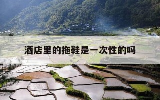 酒店里的拖鞋是一次性的吗-酒店里面的一次性拖鞋要钱吗