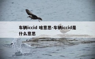 车辆iccid 啥意思-车辆iccid是什么意思