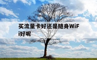 买流量卡好还是随身WiFi好呢-随身无线网和流量卡那个好