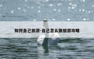 如何自己旅游-自己怎么做旅游攻略