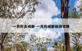 一月份去成都-一月份成都旅游攻略