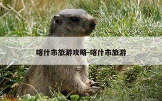 喀什市旅游攻略-喀什市旅游