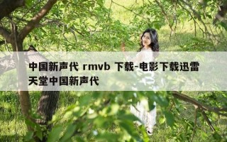 中国新声代 rmvb 下载-电影下载迅雷天堂中国新声代