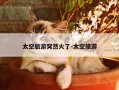 太空旅游突然火了-太空旅游