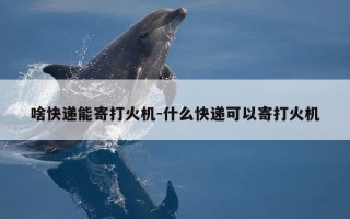 啥快递能寄打火机-什么快递可以寄打火机