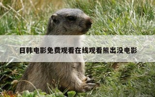 日韩电影免费观看在线观看熊出没电影