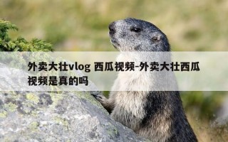 外卖大壮vlog 西瓜视频-外卖大壮西瓜视频是真的吗