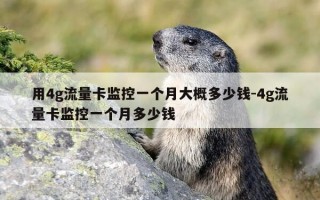 用4g流量卡监控一个月大概多少钱-4g流量卡监控一个月多少钱