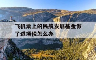飞机票上的民航发展基金做了进项税怎么办-