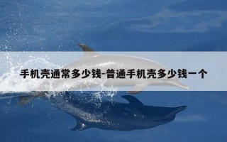 手机壳通常多少钱-普通手机壳多少钱一个