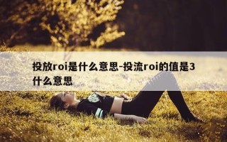 投放roi是什么意思-投流roi的值是3什么意思