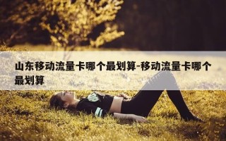 山东移动流量卡哪个最划算-移动流量卡哪个最划算