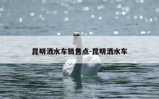 昆明洒水车销售点-昆明洒水车