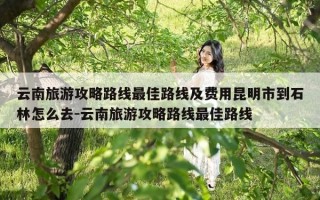 云南旅游攻略路线最佳路线及费用昆明市到石林怎么去-云南旅游攻略路线最佳路线