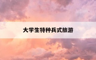 大学生特种兵式旅游-大学生特种兵式旅游辩论赛