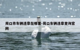 周口市车辆违章在哪里-周口车辆违章查询官网