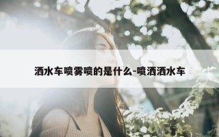 洒水车喷雾喷的是什么-喷洒洒水车