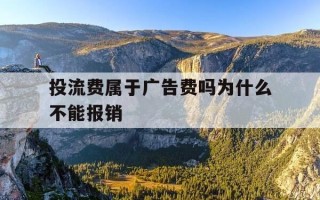 投流费属于广告费吗为什么不能报销-广告投放流量结算方式