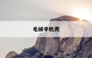 毛绒手机壳-毛绒手机壳脏了怎么清洗