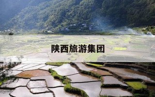 陕西旅游集团-陕西旅游集团贺东