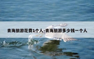 青海旅游花费1个人-青海旅游多少钱一个人