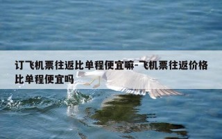 订飞机票往返比单程便宜嘛-飞机票往返价格比单程便宜吗