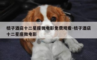 桔子酒店十二星座微电影免费观看-桔子酒店十二星座微电影