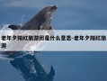 老年夕阳红旅游团是什么意思-老年夕阳红旅游