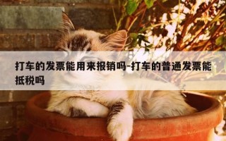 打车的发票能用来报销吗-打车的普通发票能抵税吗