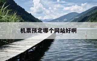 机票预定哪个网站好啊-机票预订在哪个app最好