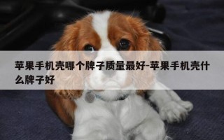 苹果手机壳哪个牌子质量最好-苹果手机壳什么牌子好