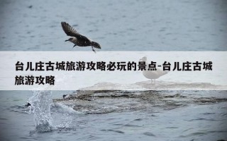 台儿庄古城旅游攻略必玩的景点-台儿庄古城旅游攻略
